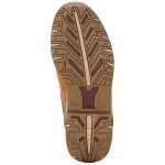 Ariat Telluride II H2O Boots