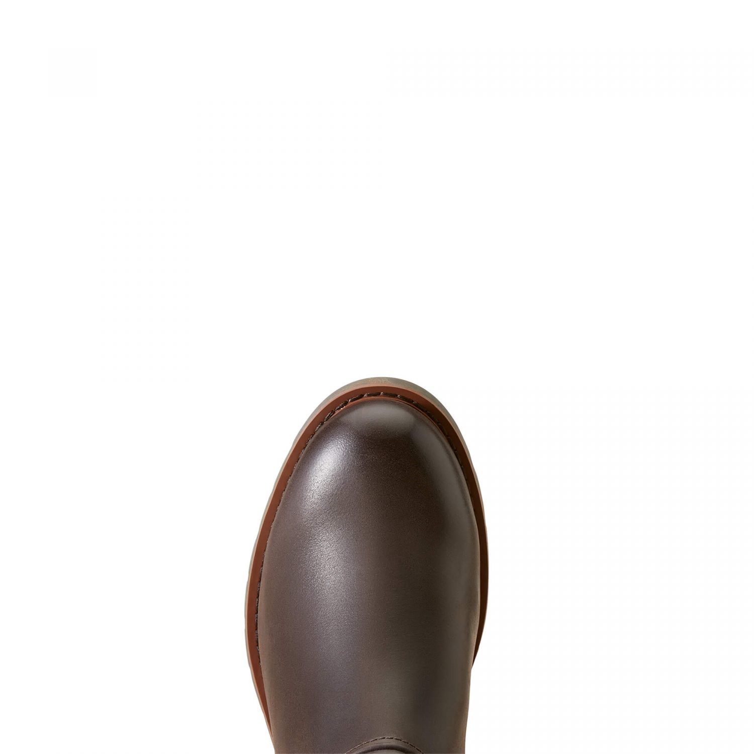 Ariat Scarlet Waterproof Boots - Mocha